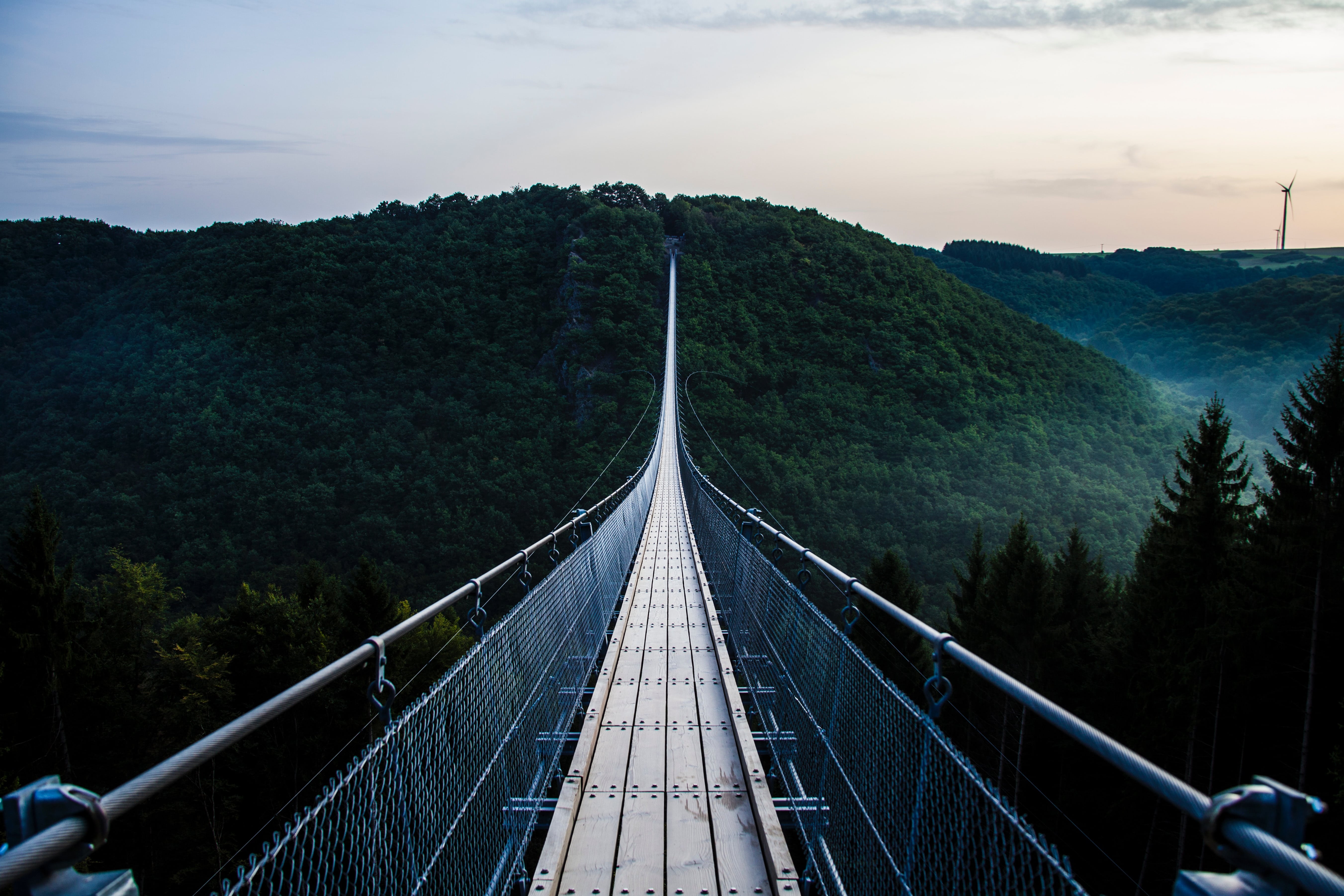 Thin suspension bridge