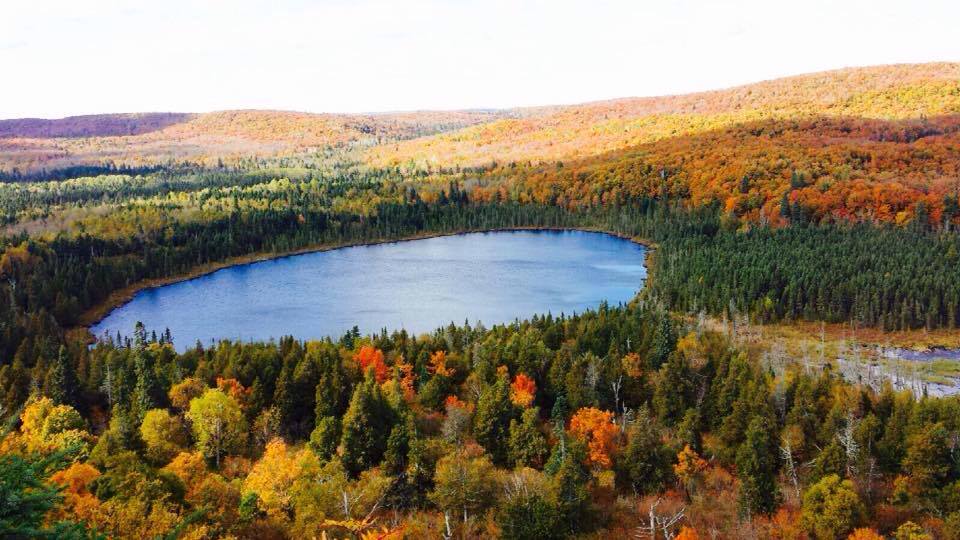 multicolor Autumn forest around blue lake