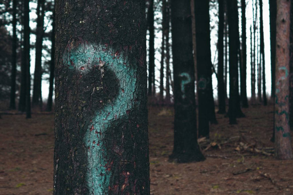 Trees With Question Marks