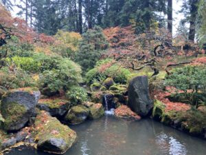 A peaceful Japanese garden with fall colors