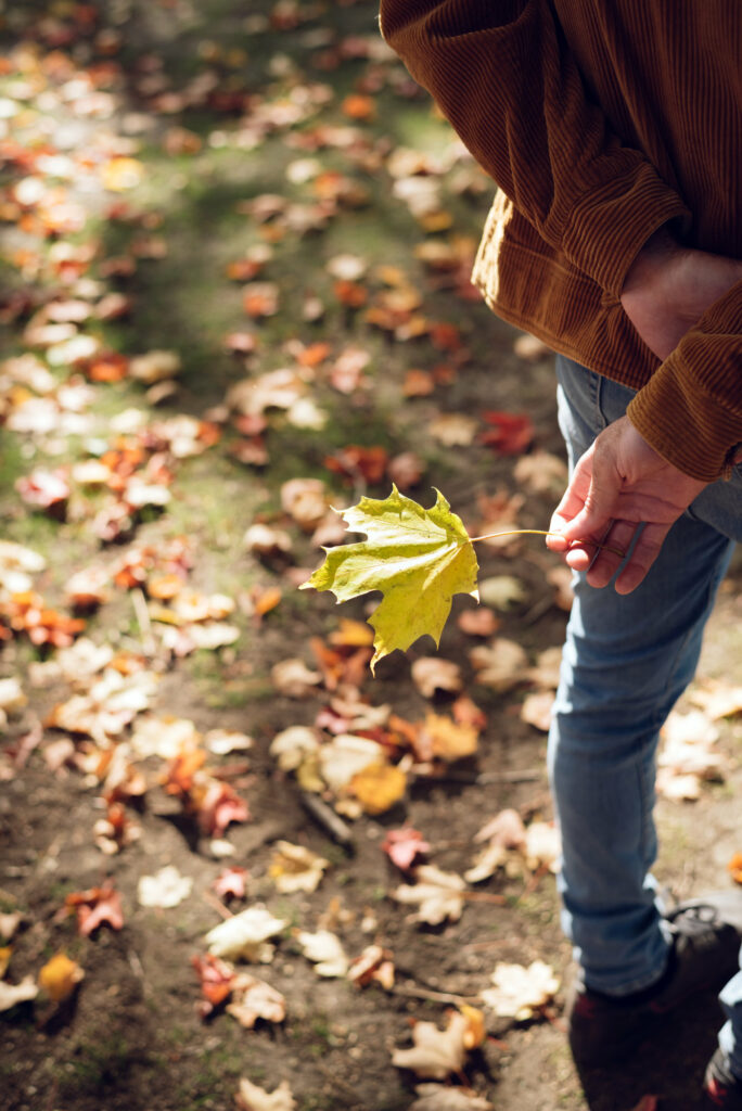 A person walks in a park, holds a fallen leaf.